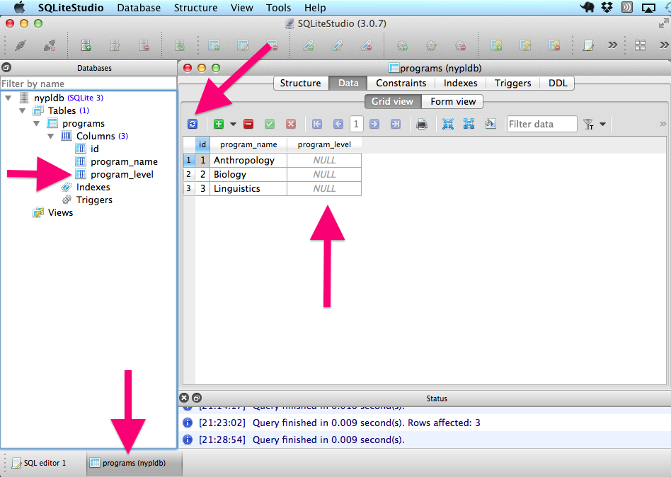 Your database after adding the new \